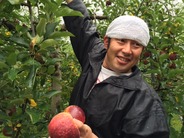 浅川リンゴ園　おいしいりんごのみつけ方も教えてくれます