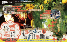 2020年12月19日（土）宮リサーチツアー♪「邪気払いとお正月準備」編