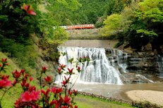 桜と新緑をめぐる旅