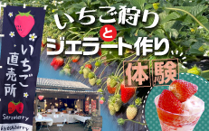 【収穫体験プラン】　いちご狩りとジェラートづくり 　第１弾《２月23日～3月7日：栃木県民限定期間》