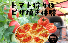 【収穫体験プラン】　トマト狩りと石窯でピザ焼き体験　　　　《6月下旬～7月》