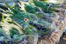 全国からねぎ好きが集う「新里ねぎまつり」満喫ツアー~イベントをより充実させる参加者特典付きプラン~