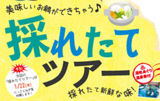 今だけ＆ここだけ♪採れたてツアー