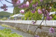 2018年4月21日(土)　荒牧りんご園お花見スポーツバイク　サイクリングツアー(初心者向け）