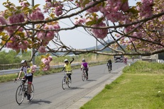 2018年4月21日(土)　荒牧りんご園お花見　サイクリングツアー(中級者以上向け）