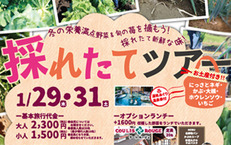 1月29・31日　旬の味覚を楽しむ♪採れたてツアー