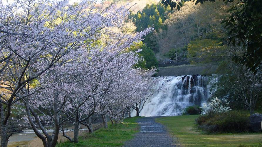 桜と新緑をめぐる旅