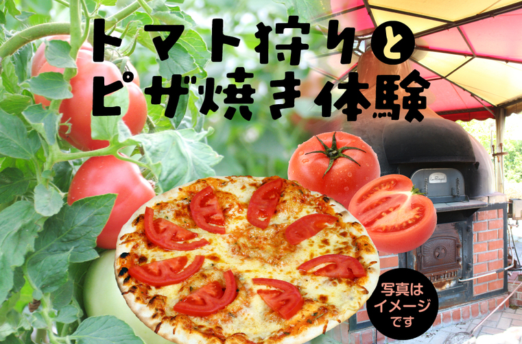 【収穫体験プラン】　トマト狩りと石窯でピザ焼き体験　　　　《6月下旬～7月》