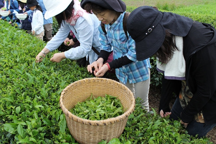 やみぞ紅茶物語☆ 第三章