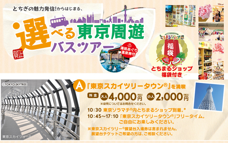 選べる東京周遊バスツアー　　≪Ａコース／東京スカイツリータウンを満喫≫