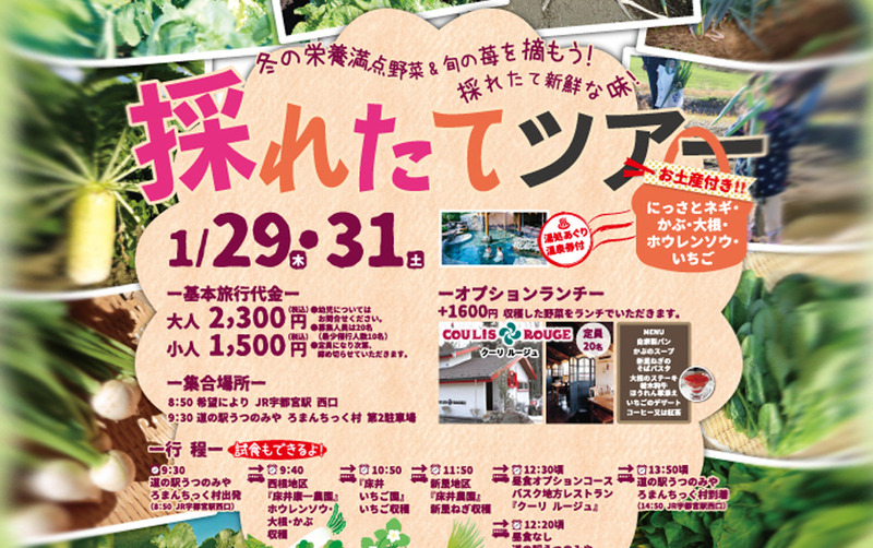 1月29・31日　旬の味覚を楽しむ♪採れたてツアー