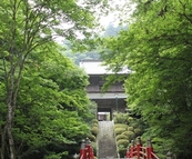 雲巌寺　～うんがんじ～　散策