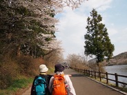 森林公園を散策