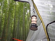 竹に吊るされたテントからの景色は最高♪　※画像はイメージです。