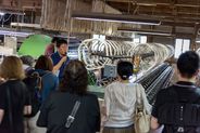 世界最薄クラスの絹織物「フェアリー・フェザー」を生み出した、川俣シルクの現場をガイド付きで見学（画像はイメージ）